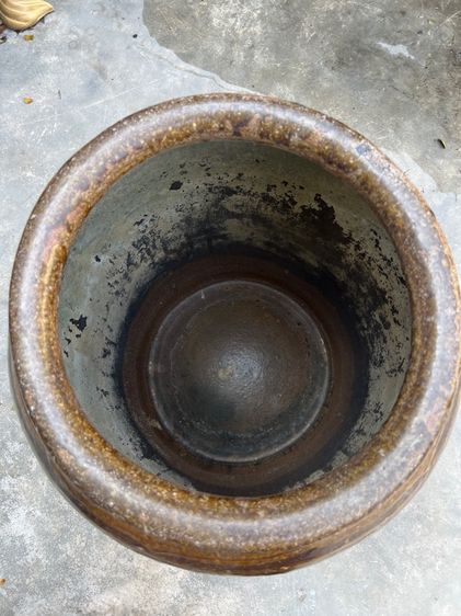 โอ่งจีนใบกลาง รูปที่ 5