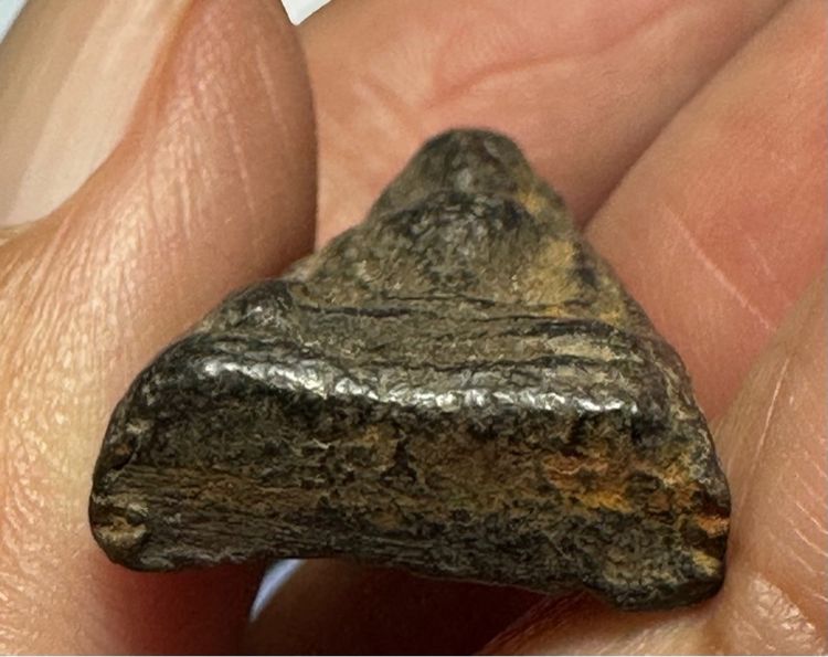 🙏พระผงสุพรรณ พิมพ์หน้าหนุ่ม🙏พระผงเกษา พิมพ์พระคง ครูบาศรีวิชัย องค์ละ 2000 รูปที่ 6