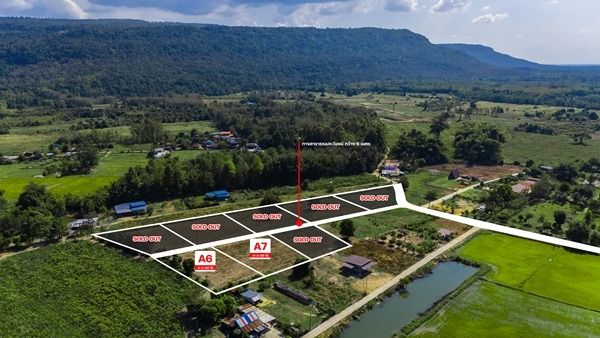  ที่ดินสวย วิวเขาวังทอง 200 ตร.วา  ราคาดีที่สุด 299,000 บาท  097 446 4446