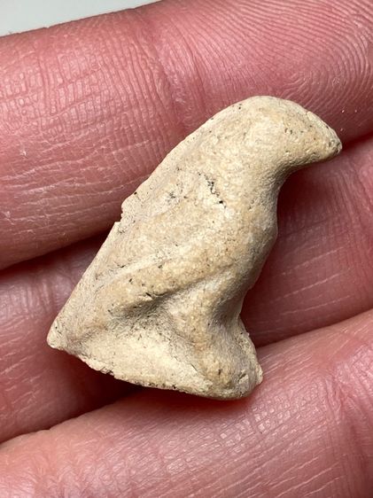 นกสาริกาเนื้อผง