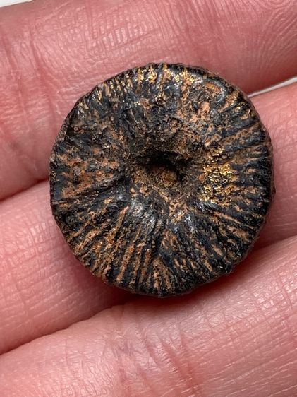 ตะกรุดพิสมร