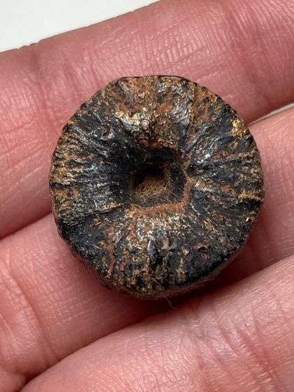 ตะกรุดพิสมร รูปที่ 2