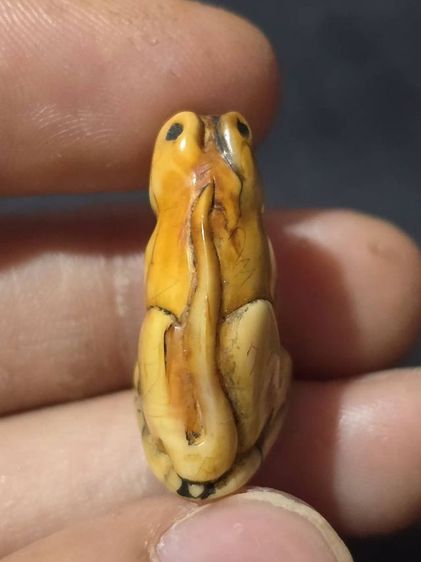 หลวงพ่อปาน รูปที่ 5