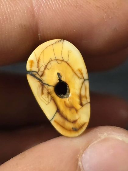 หลวงพ่อปาน รูปที่ 6