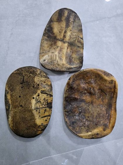 เหมาหนูมาร รูปที่ 2