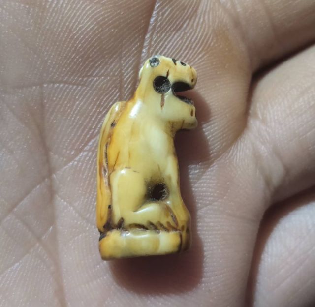 หลวงพ่อปาน รูปที่ 6