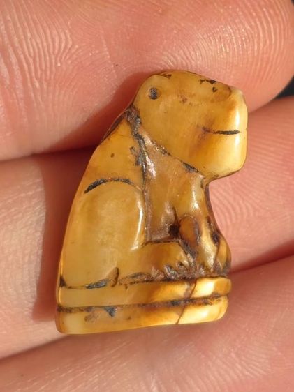 หลวงพ่อปาน รูปที่ 3