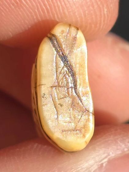 หลวงพ่อปาน รูปที่ 2