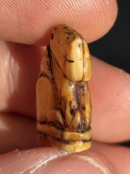 หลวงพ่อปาน รูปที่ 5