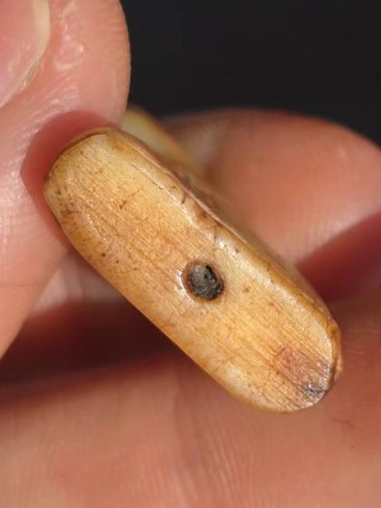 หลวงพ่อสาย รูปที่ 2