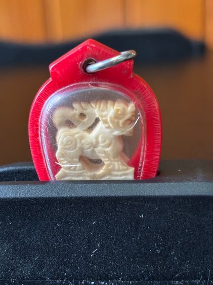 เสือเกะไม่ทราบที่ รูปที่ 2