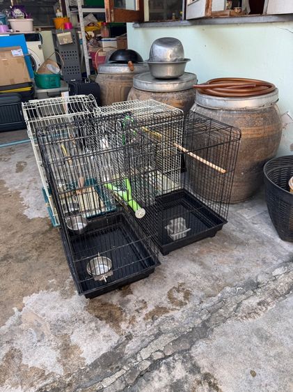 กรง คอกและประตู กรงนก