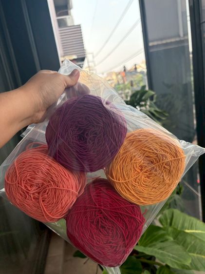 เชือกฟอก รูปที่ 5