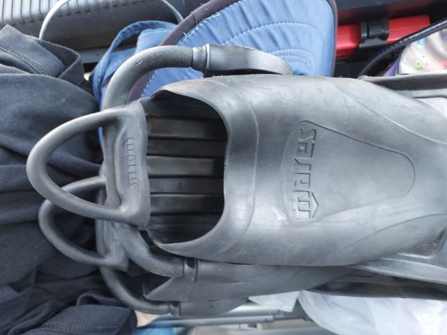 ตีนกบ รูปที่ 5