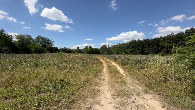 ที่ดิน ปากเเพรก จังหวัดระยอง เนื้อที่ 8 ไร่ 24 ตารางวา