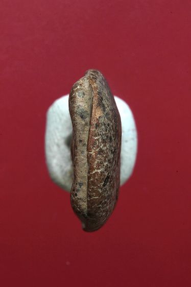 พระซุ้มกอสวยๆค่ะเก่าค่ะ รูปที่ 5