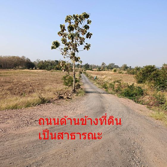 ขายที่ดิน 16-0-63 ไร่ ต.ท่าข้าม อ.ชนแดน เพชรบูรณ์ ติดถนนปูนแยกจากถนนใหญ่ 1 กม รูปที่ 4