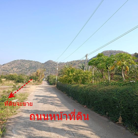 ขายที่ดิน 16-0-63 ไร่ ต.ท่าข้าม อ.ชนแดน เพชรบูรณ์ ติดถนนปูนแยกจากถนนใหญ่ 1 กม รูปที่ 2