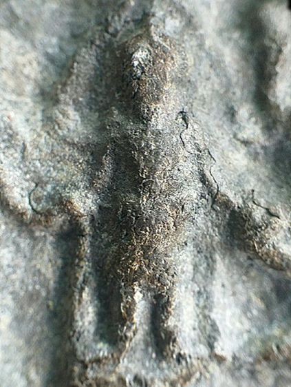 ปางปาฏิหารย์ ลพบุรี. รูปที่ 10