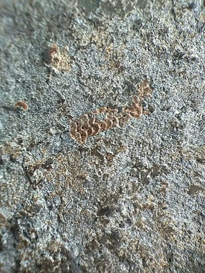 ปางปาฏิหารย์ ลพบุรี. รูปที่ 17