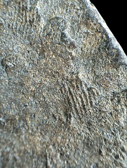 ปางปาฏิหารย์ ลพบุรี. รูปที่ 15