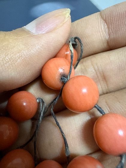 ลูกปัดปะการังเทียม รูปที่ 5