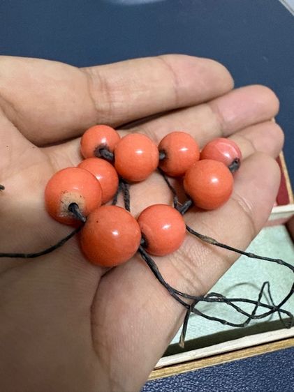 ลูกปัดปะการังเทียม รูปที่ 7