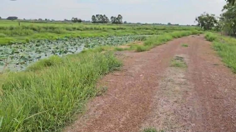 ขายที่ดินทำนา  หมู่ 3 ตำบลท่าเรือ อำเภอปากพลี จังหวัดนครนายก