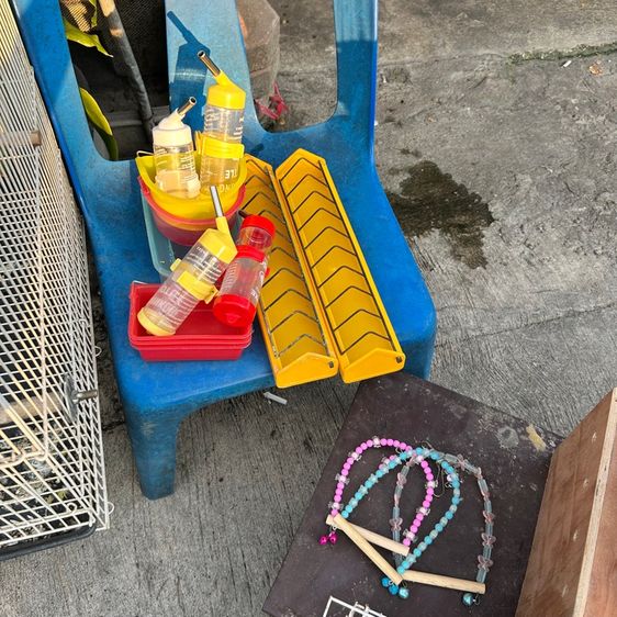 กรงนก พร้อมนกเลิฟเบิร์ด1ตัว(ได้อุปกรณ์ทุกอย่างทั้งหมด) รูปที่ 4