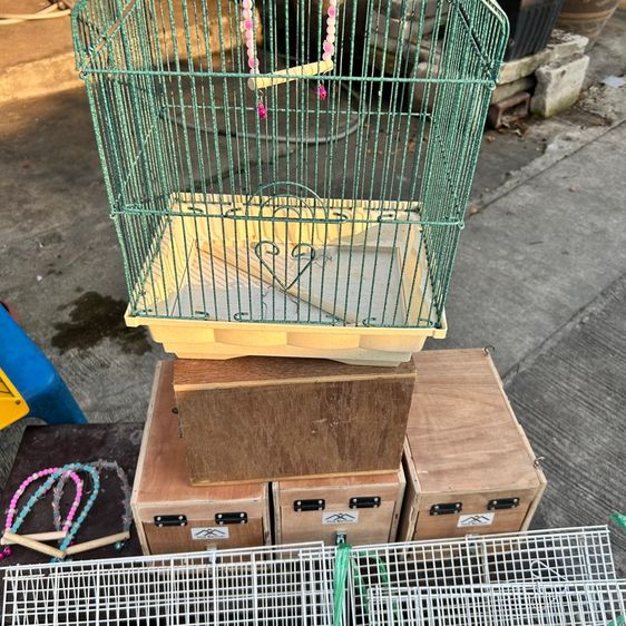 กรงนก พร้อมนกเลิฟเบิร์ด1ตัว(ได้อุปกรณ์ทุกอย่างทั้งหมด) รูปที่ 3