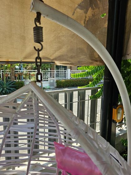 กระเช้ารังนก รูปที่ 4