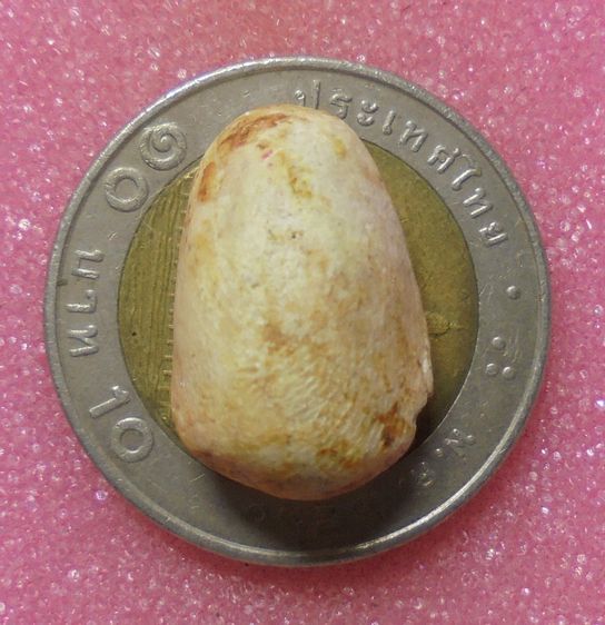 พระวัดพลับ รูปที่ 3