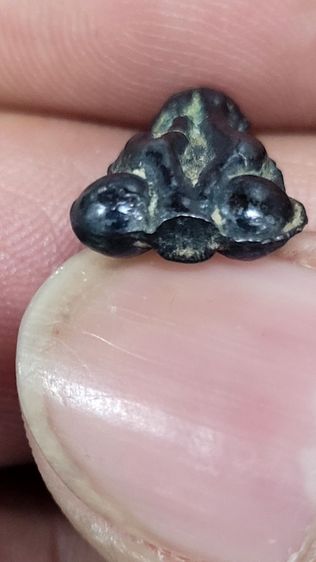 ปิดตาหลวงพ่อเดิม รูปที่ 11