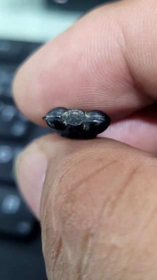 ปิดตาหลวงพ่อเดิม รูปที่ 13