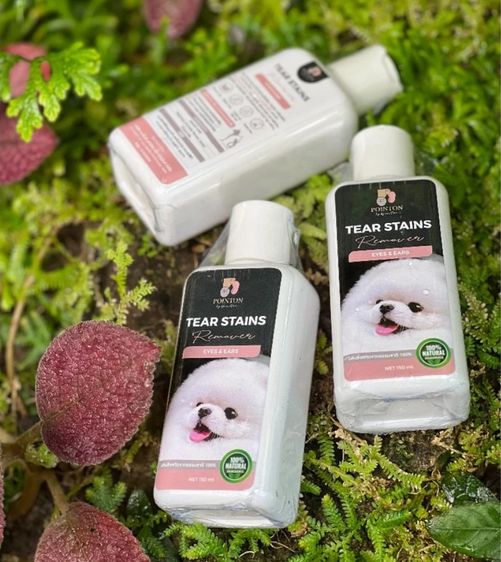 POINTON removes Eyes and Ears ทำความสะอาดหูและตาสุนัข+สเปรย์ บำรุงขนสุนัข เกรดฟาร์มประกวด รูปที่ 6