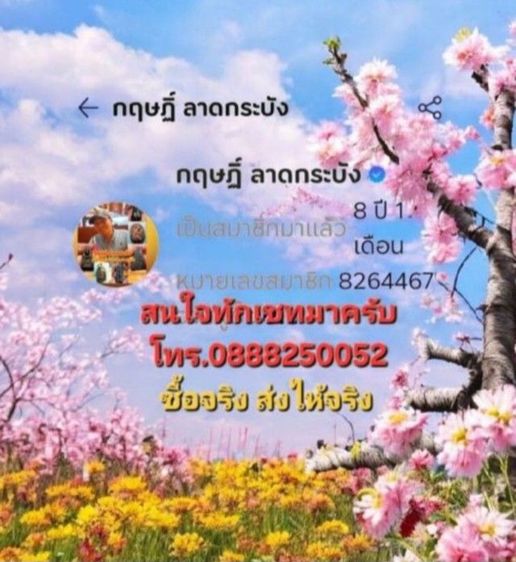 หลวงปู่ทวดวัดช้างให้ปี42  รูปที่ 7