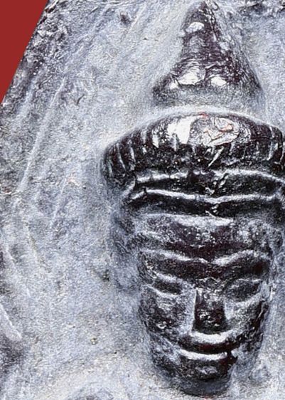 สนิมออกม่วง พระกรุ พระร่วงยืน หลังรางปืน กรุวัดพระศรีมหาธาตุ สุโขทัย   รูปที่ 6