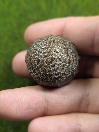 ปรอทกรอลูกสะกดเก่าๆไม่ทราบที่ข้างในมีเสียง รูปที่ 3