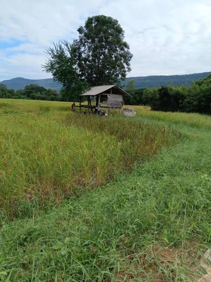 ที่ดินติดถนน มีโฉนดพร้อมโอน ครุฑแดง.