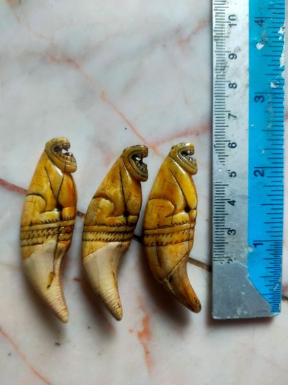 หลวงพ่อนกวัดสังกะษี รูปที่ 3