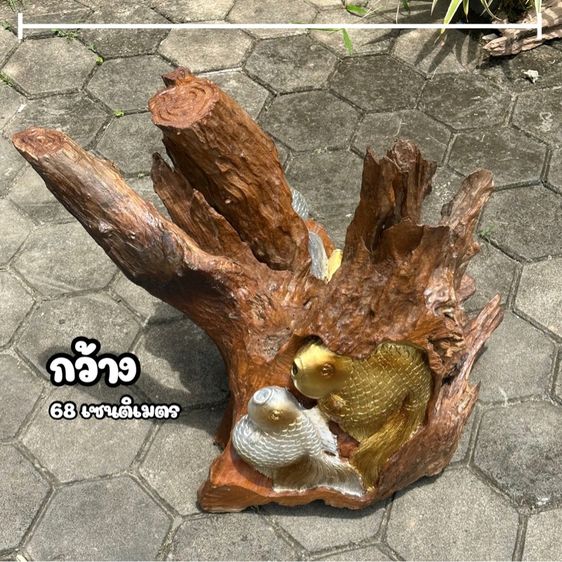 ตอไม้เเกะสลักปลา รูปที่ 3
