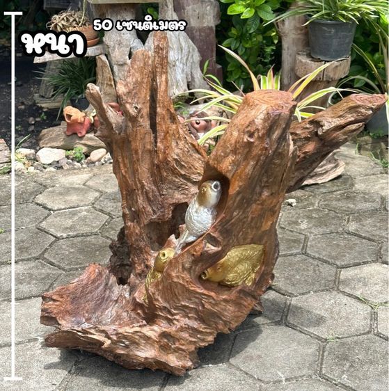ตอไม้เเกะสลักปลา รูปที่ 4