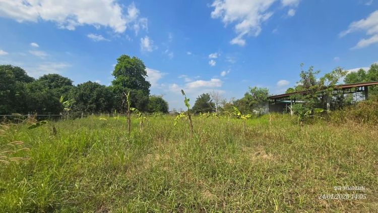 ขายที่ดินนามะตูมพนัสนิคม473ตรว. รูปที่ 2