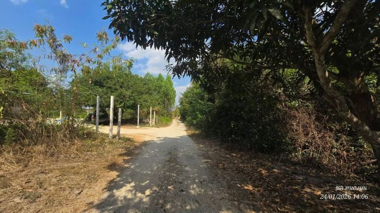 ขายที่ดินนามะตูมพนัสนิคม473ตรว. รูปที่ 3