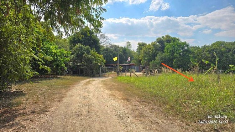ขายที่ดินนามะตูมพนัสนิคม473ตรว.