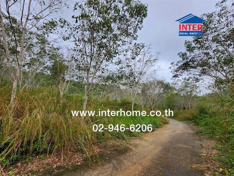 ที่ดินเปล่า 33 ไร่ 270 ตร.ว. ธารน้ำทิพย์ ใกล้สี่แยกป้อมกวางหลง ใกล้สนามบินเบตง ถนนหามายเลข4062 ถนนหมายเลข4326 เบตง ยะลา รูปที่ 3