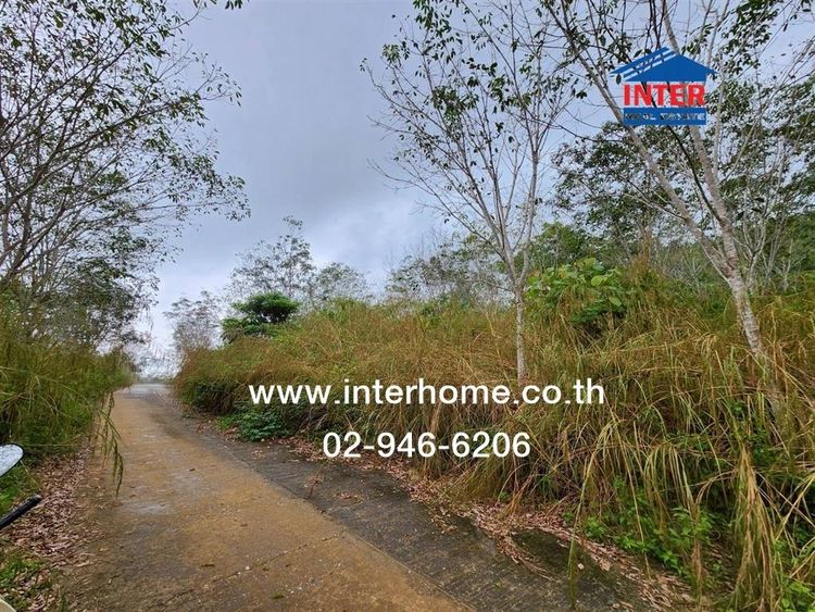 ที่ดินเปล่า 33 ไร่ 270 ตร.ว. ธารน้ำทิพย์ ใกล้สี่แยกป้อมกวางหลง ใกล้สนามบินเบตง ถนนหามายเลข4062 ถนนหมายเลข4326 เบตง ยะลา รูปที่ 4