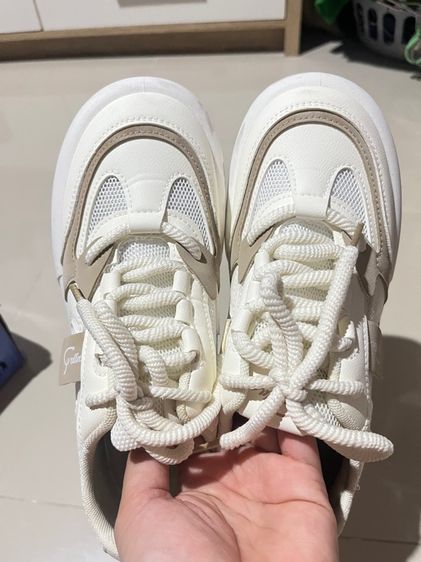 รองเท้าแบรนด์colors