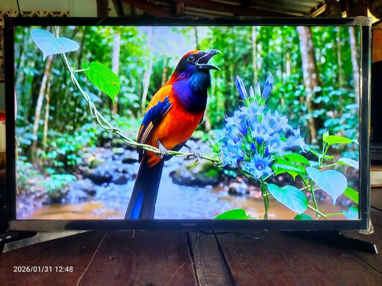 ขาย ทีวี Digital TV Samsung UA32J4003AKXXT พร้อมรีโมท รูปที่ 6