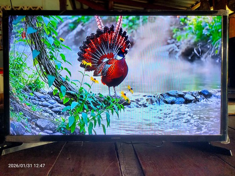 ขาย ทีวี Digital TV Samsung UA32J4003AKXXT พร้อมรีโมท รูปที่ 5
